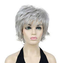 Load image into Gallery viewer, Angie Short Layered Synthetic Wig Wig Store 
