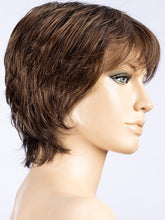 Load image into Gallery viewer, Vanity | Hair Society | Synthetic Wig Ellen Wille
