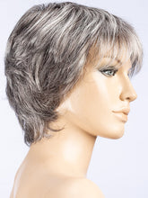 Load image into Gallery viewer, Vanity | Hair Society | Synthetic Wig Ellen Wille
