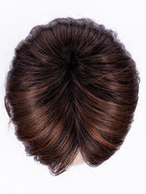 Load image into Gallery viewer, AUBURN ROOTED 33.130.4 | Dark Auburn, Deep Copper Brown, and Darkest Brown Blend with Shaded Roots
