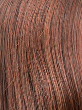 Load image into Gallery viewer, AUBURN ROOTED 33.130.4 | Dark Auburn, Deep Copper Brown, and Darkest Brown Blend with Shaded Roots
