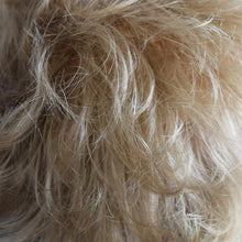Load image into Gallery viewer, 500 Abbey by WIGPRO: Synthetic Wig WigUSA
